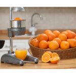Cancan 0102 Profesyonel Tip Portakal Sıkma Presi - Görsel 4