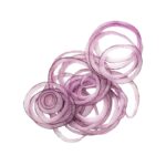 Robot Coupe Kesme Diski, 1 mm - Görsel 2