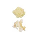 Robot Coupe Rendeleyici Disk, 1 mm - Görsel 2