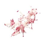 Robot Coupe Şerit Kesici Bıçak, 2x2 mm - Görsel 2